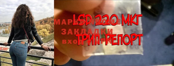 прущий лед Абаза